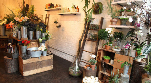 Discover Unique Bouquets at Local Sunshine Coast Flower Shops