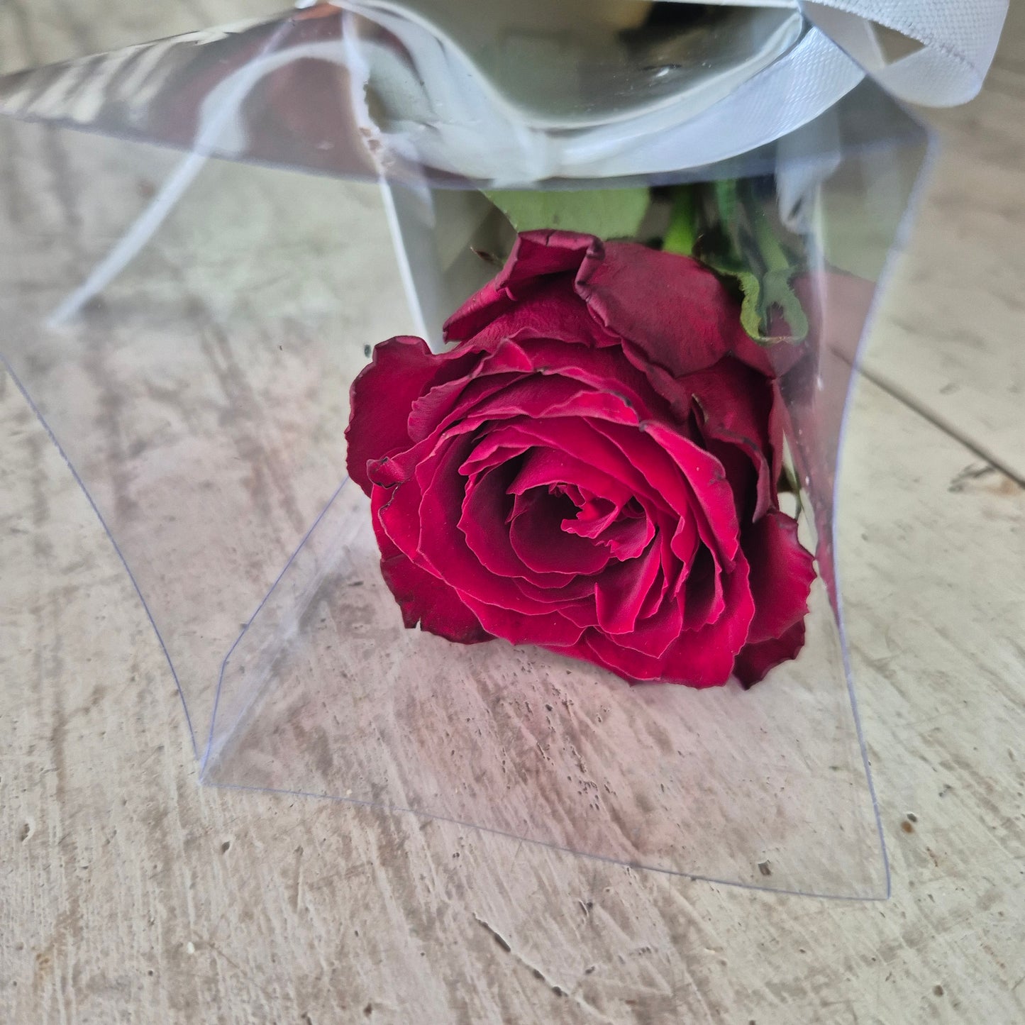 Single rose premium wrapped