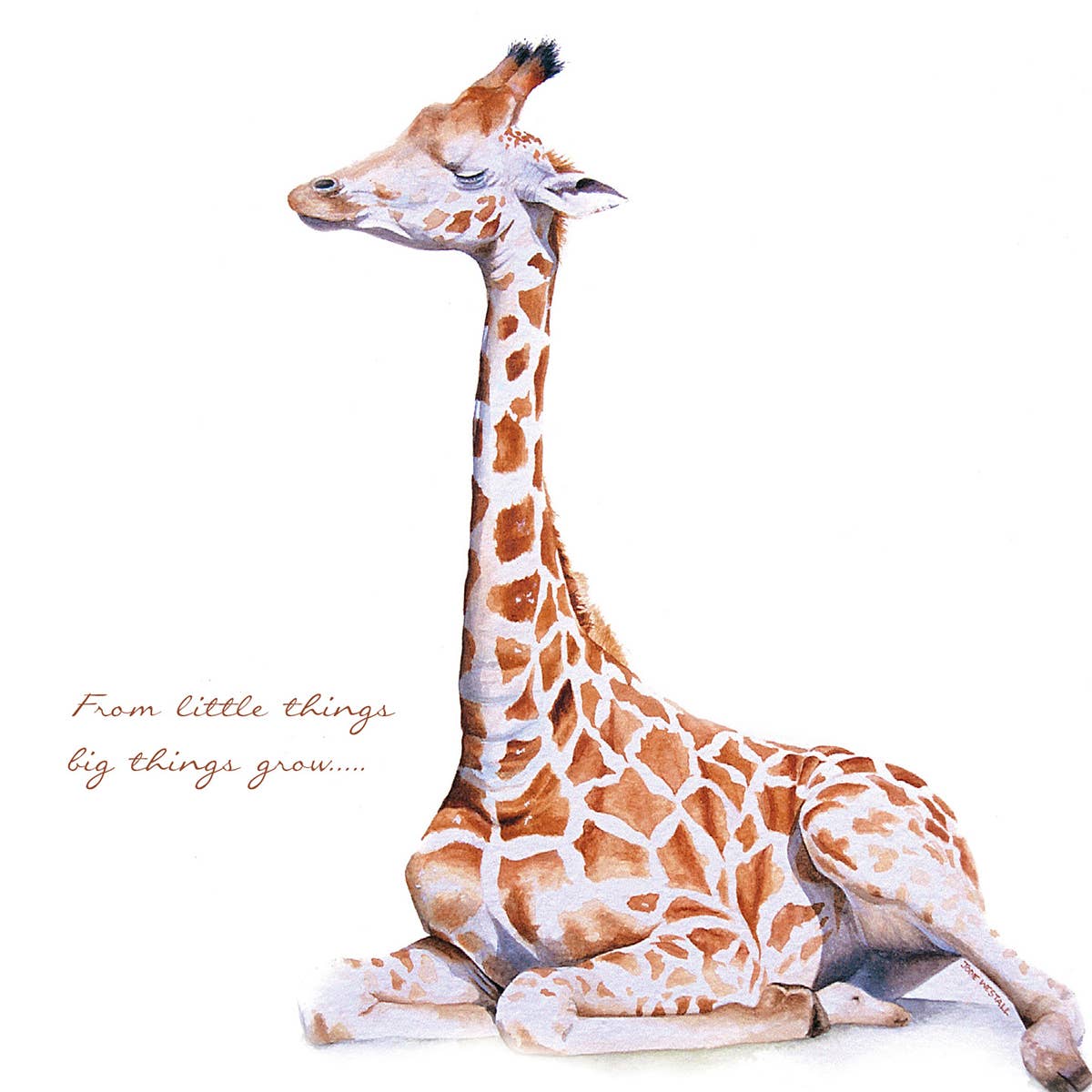 Baby Giraffe - Card