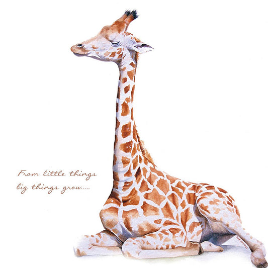 Baby Giraffe - Card