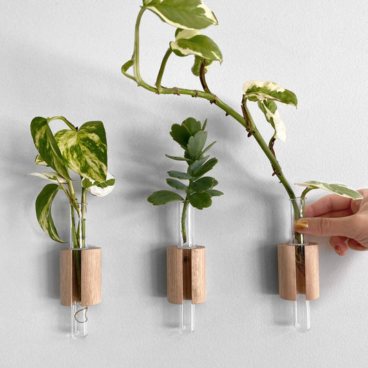 Wooden Test Tube Plant Holder. Plant Propagation Wall Hanger