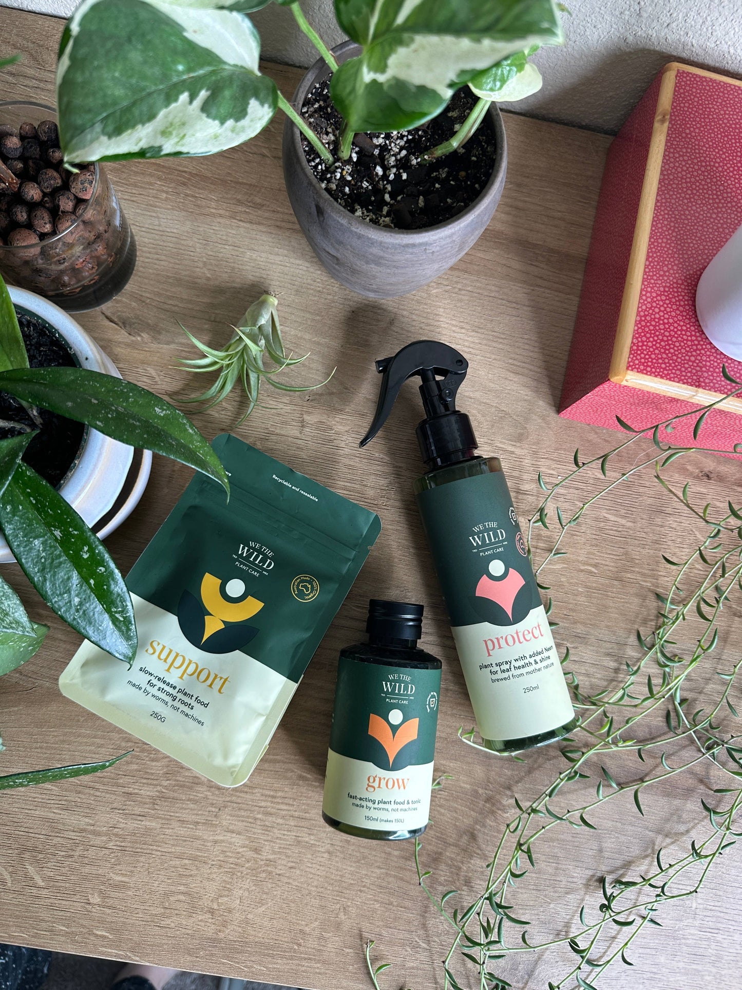 Let It Grow Essentials Kit - Case of 6