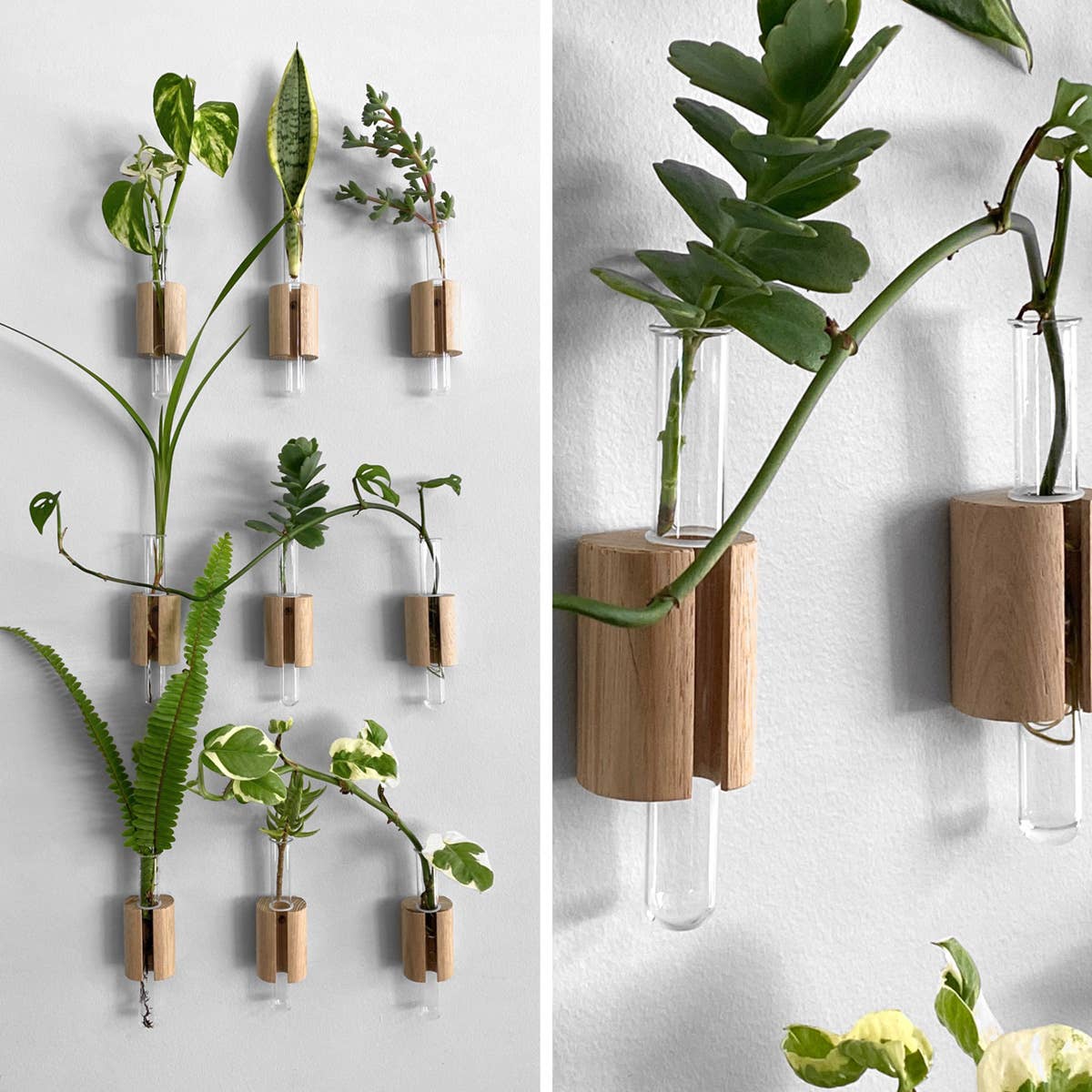 Wooden Test Tube Plant Holder. Plant Propagation Wall Hanger