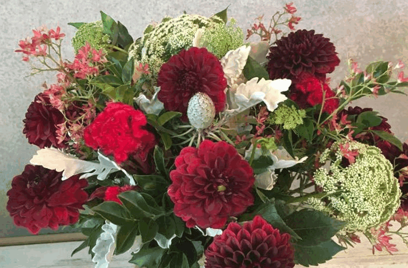 Choosing Your Ideal Sunshine Coast Florist Delivery Service