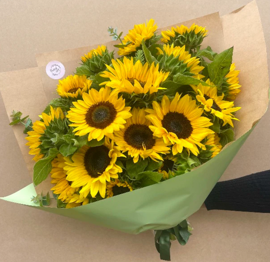 10 Sunny Secrets: Unleashing the Power of Sunflowers to Brighten Your World
