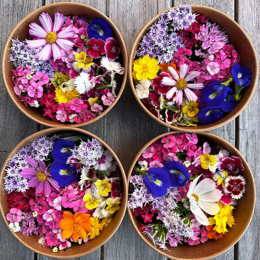 From Backyards to Bouquets: Celebrating Queensland's Flourishing Edible Flowers