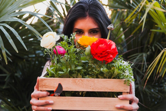Best Flowers for Your Sunshine Coast Garden: Seasonal Splendor