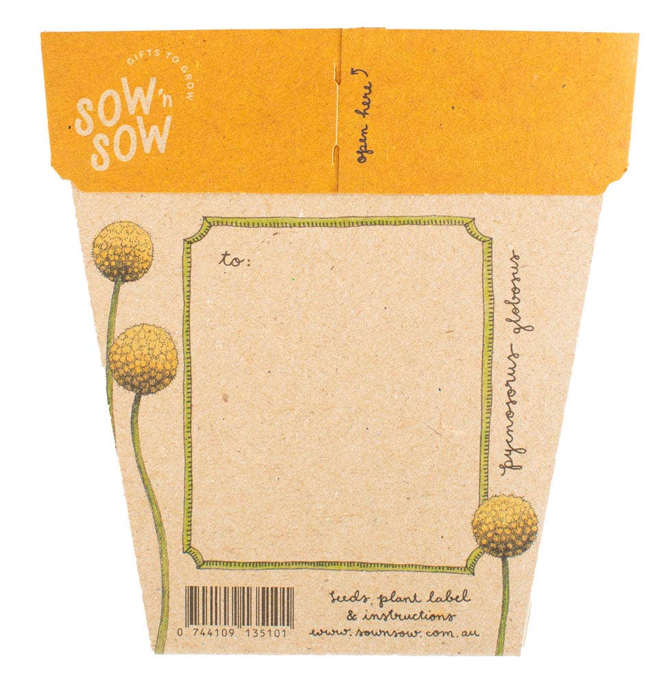 Seed packet with 'Sow n Sow' branding and illustrations of plants on a white background