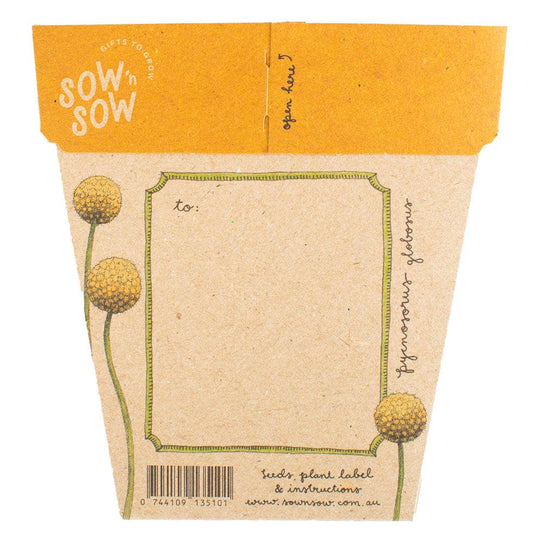 Seed packet with 'Sow n Sow' branding and illustrations of plants on a white background