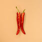 Spicy Tomato Relish PETITE