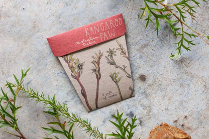 Kangaroo Paw Gift of Seeds 