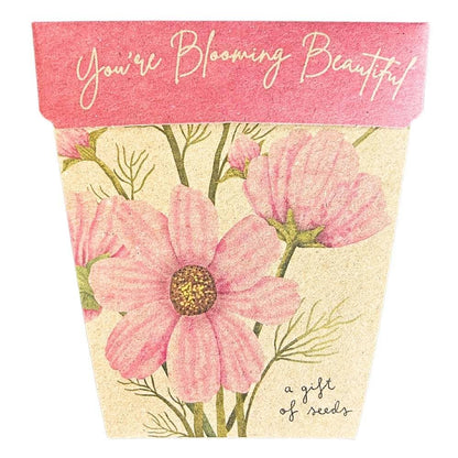 Seed packet with pink flowers and 'You're Blooming Beautiful' text on a pink background