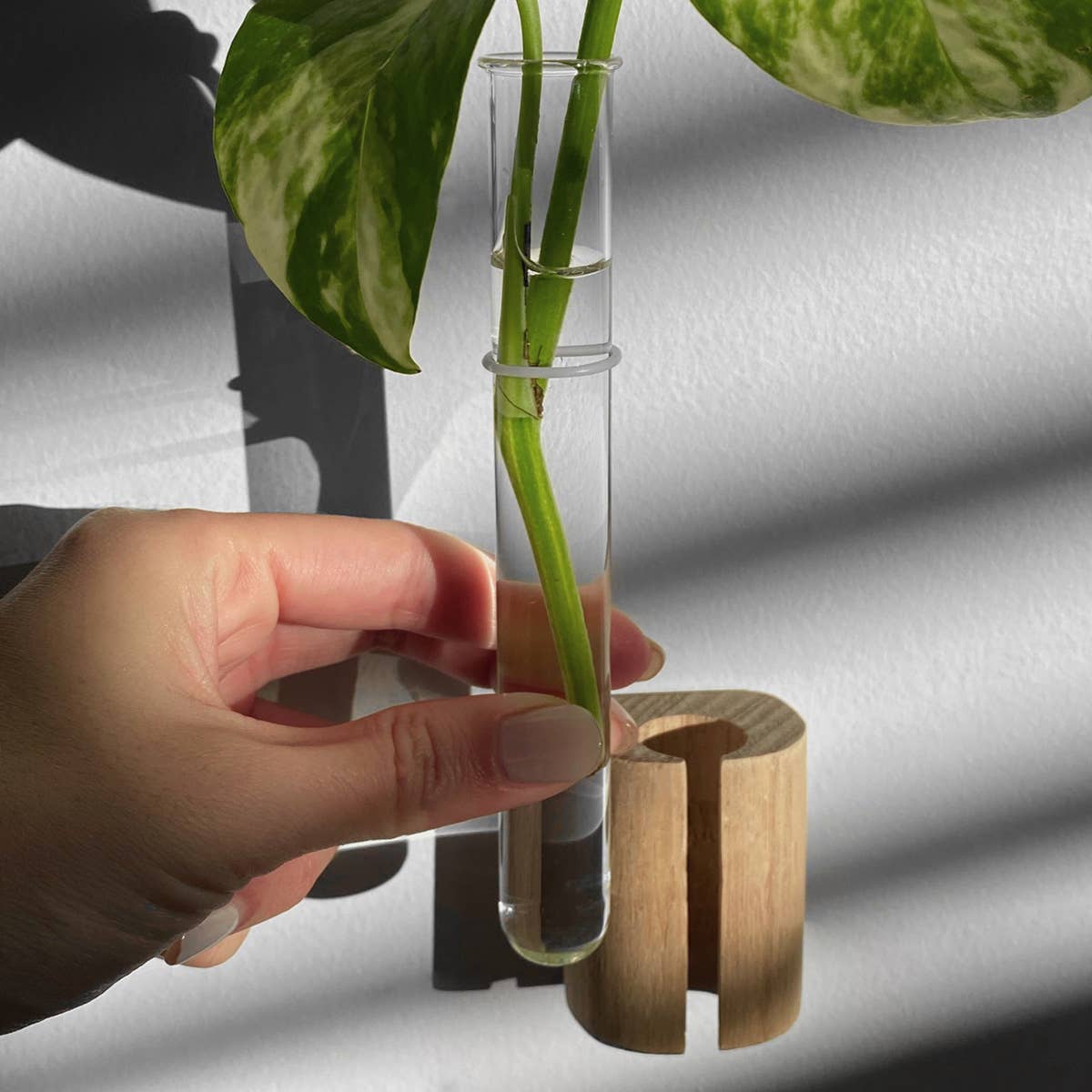 Wooden Test Tube Plant Holder. Plant Propagation Wall Hanger