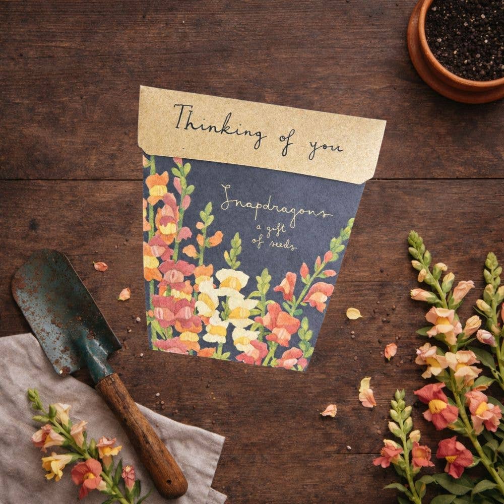 Thinking of You Gift of Seeds
