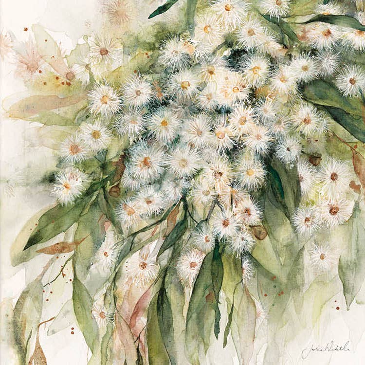 'Splendour flowering gum' - Greeting card