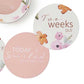 Poppy & Musk Pink Reversible Milestone Cards