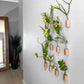Wooden Test Tube Plant Holder. Plant Propagation Wall Hanger