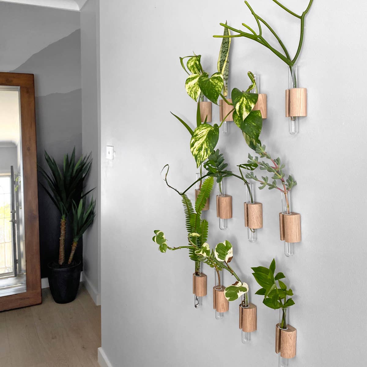 Wooden Test Tube Plant Holder. Plant Propagation Wall Hanger