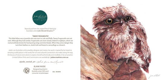 Tawny Frogmouth - Greeting Card