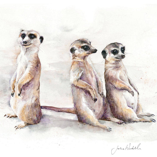 'Family Matters' Meerkats - Greeting card