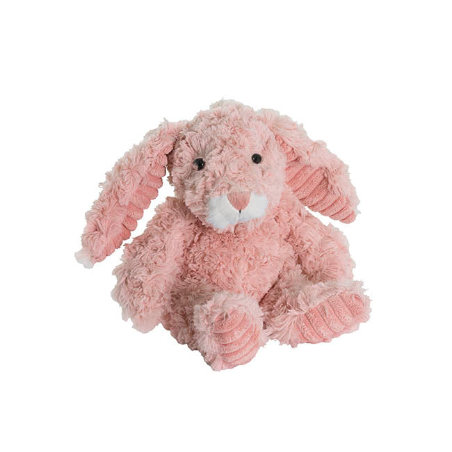 Nibbles the Floppy ear Bunny