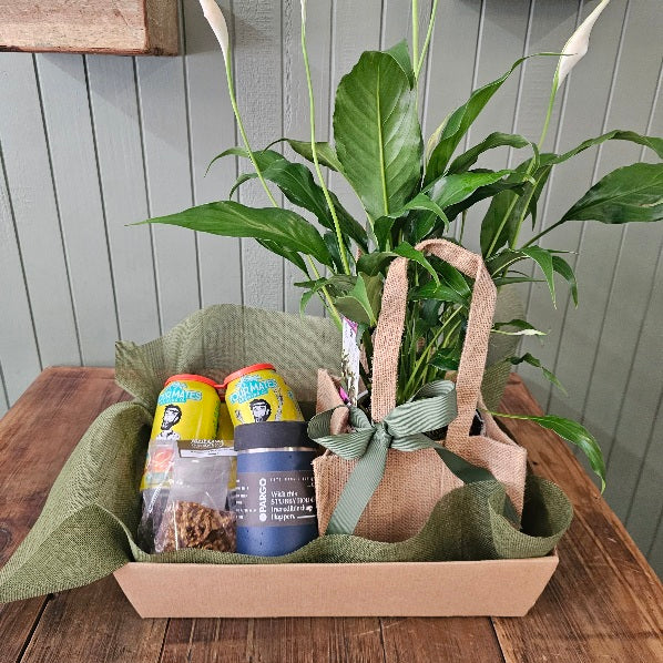 Male hamper
