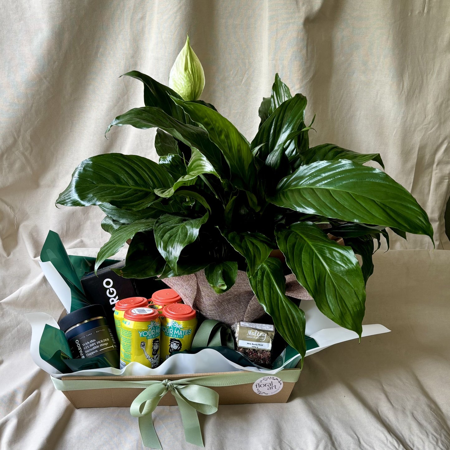 Gift basket with a potted plant, beers, and other items on a neutral background