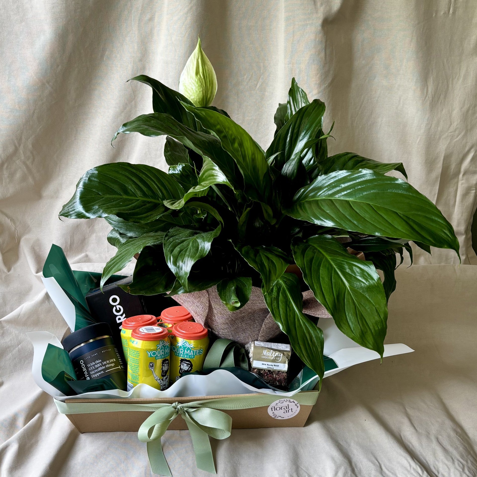 Gift basket with a potted plant, beers, and other items on a neutral background
