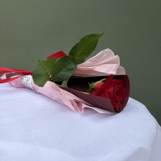 Single red rose wrapped in pink paper on a white surface with a green background