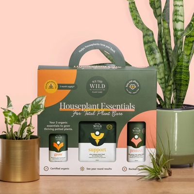 We the Wild Houseplant Essentials Gift Pack