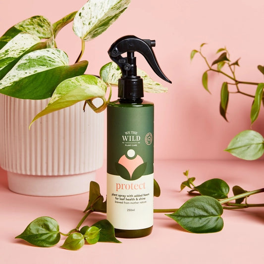 Plant Spray with Neem