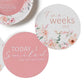 Camille & Jewel Pink Reversible Milestone Cards
