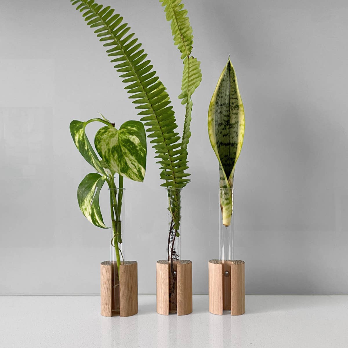 Wooden Test Tube Plant Holder. Plant Propagation Wall Hanger