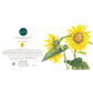 Sunflower Splendour Greeting Card