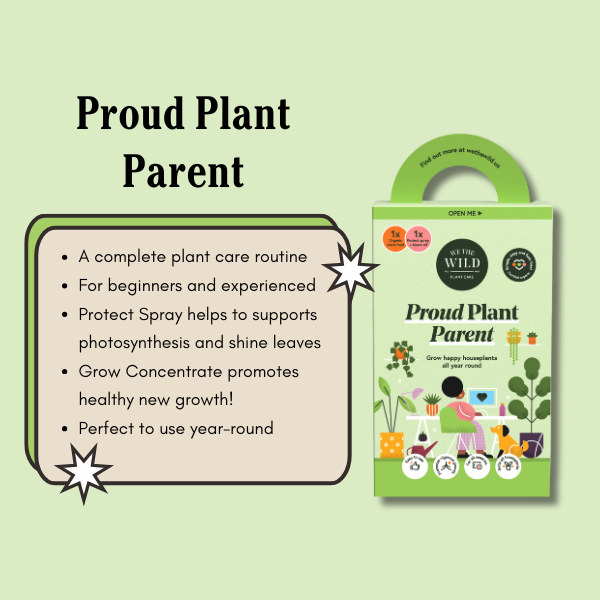 Proud Plant Parent Kit - Case of 8