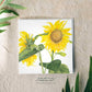 Sunflower Splendour Greeting Card