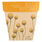 Seed packet with illustrations of yellow flowers labeled 'Billy Buttons' on a beige background.