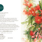 'Buzzing with beauty' - Greeting card