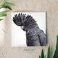 'Black Cockatoo' - Greeting card