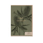 Banksia Birthday Card