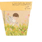 Gift of Seeds Card